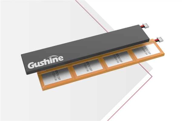 lithium ion polymer battery pack